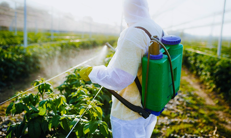 Exportación de productos a más de 50 países