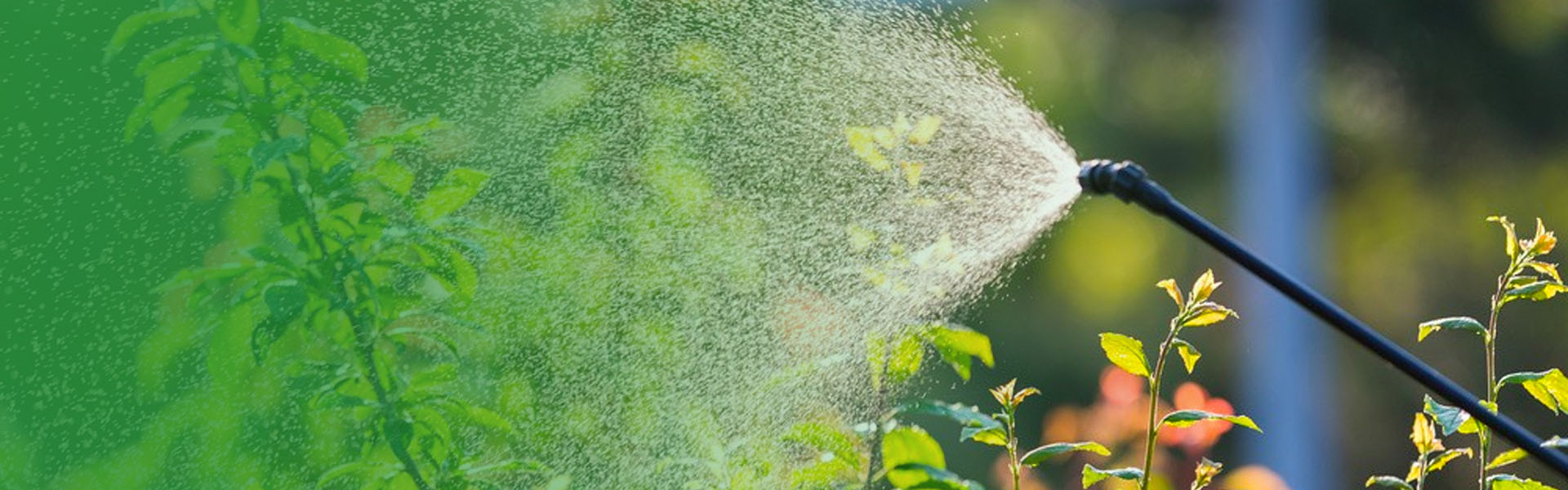¿Cuál es la diferencia entre un soplador de niebla y un rociador eléctrico?